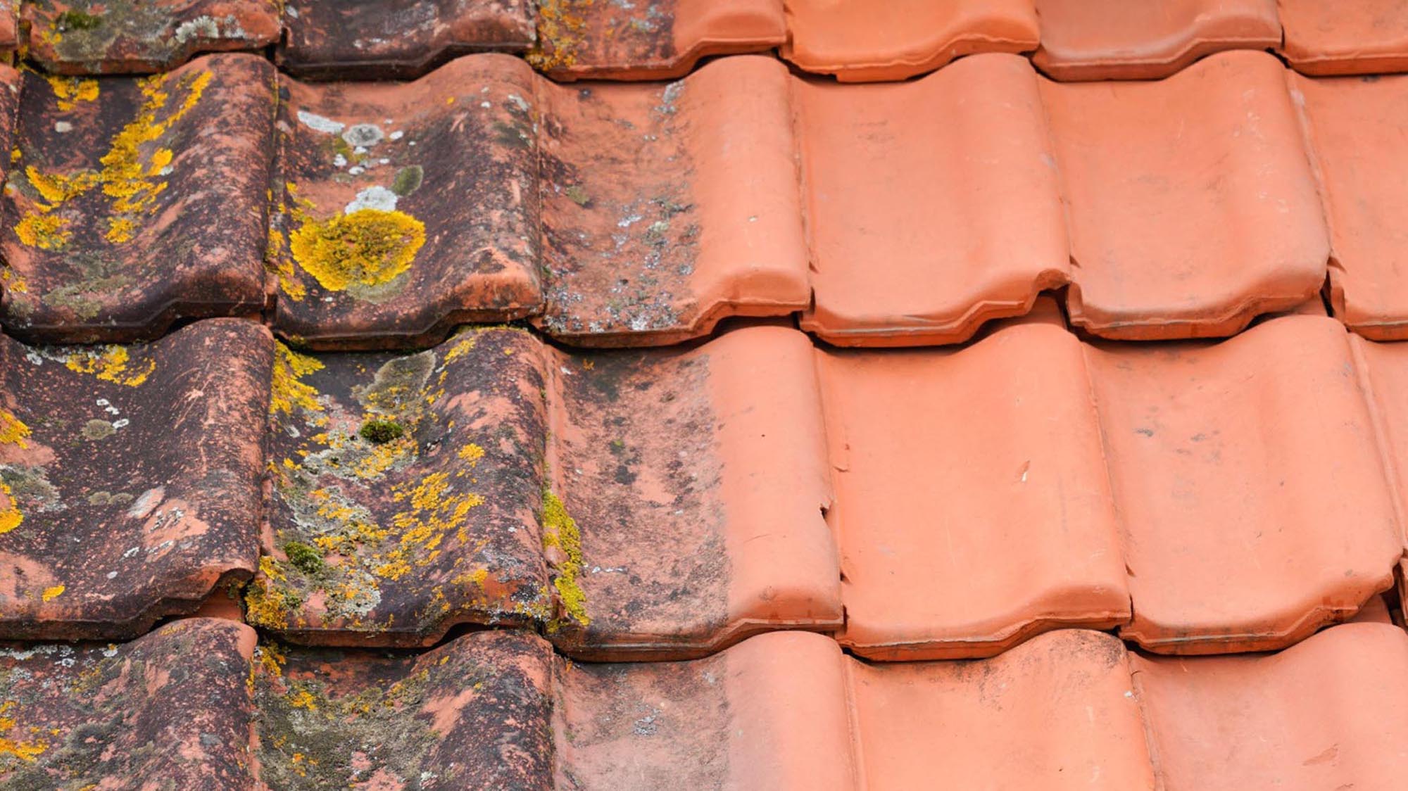 Roof Cleaning and Moss Removal UK National Roofing