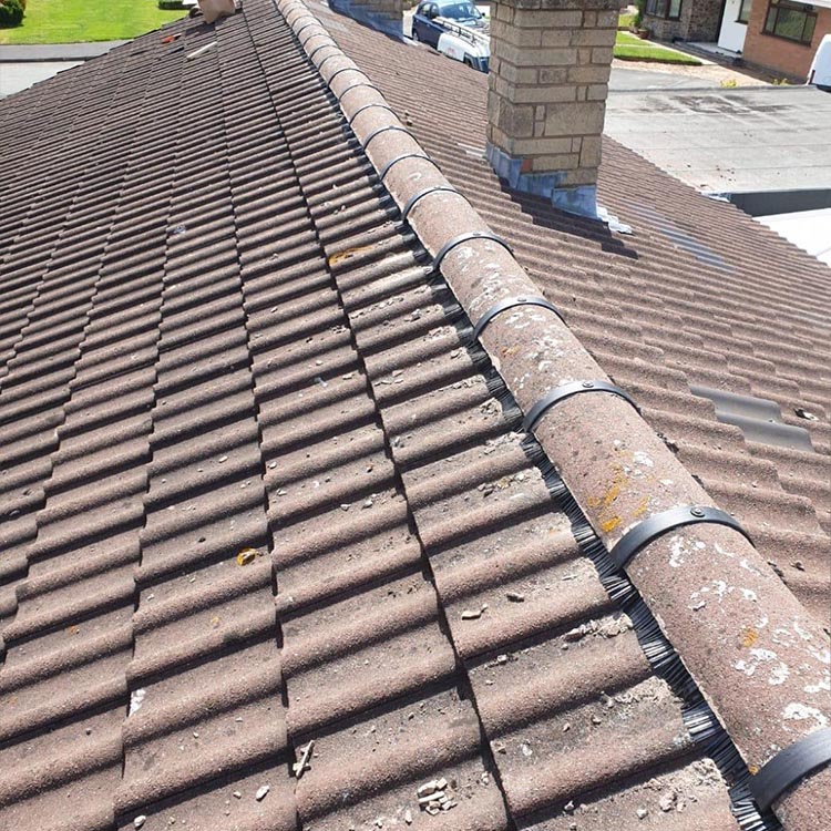 Ridge Tile rebedding